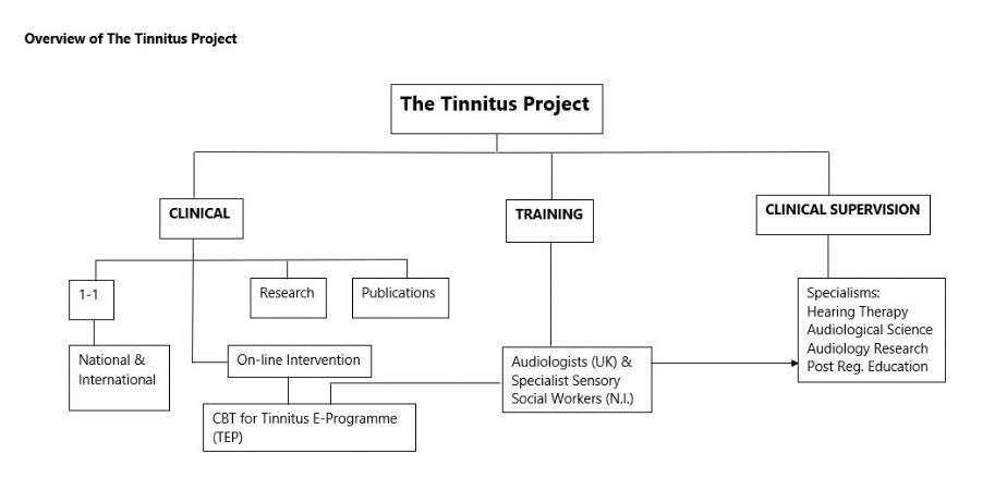 Tinnitus Project Overview